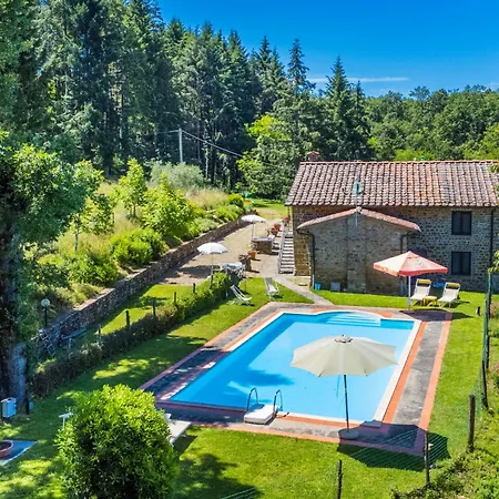 Certina 4 By Interhome Apartment Pelago